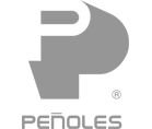 logos-gris_0001_Peñoles